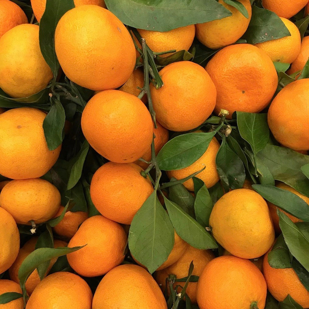 Tangerine Essential Oil, Organic, 100% Pure, Natural
