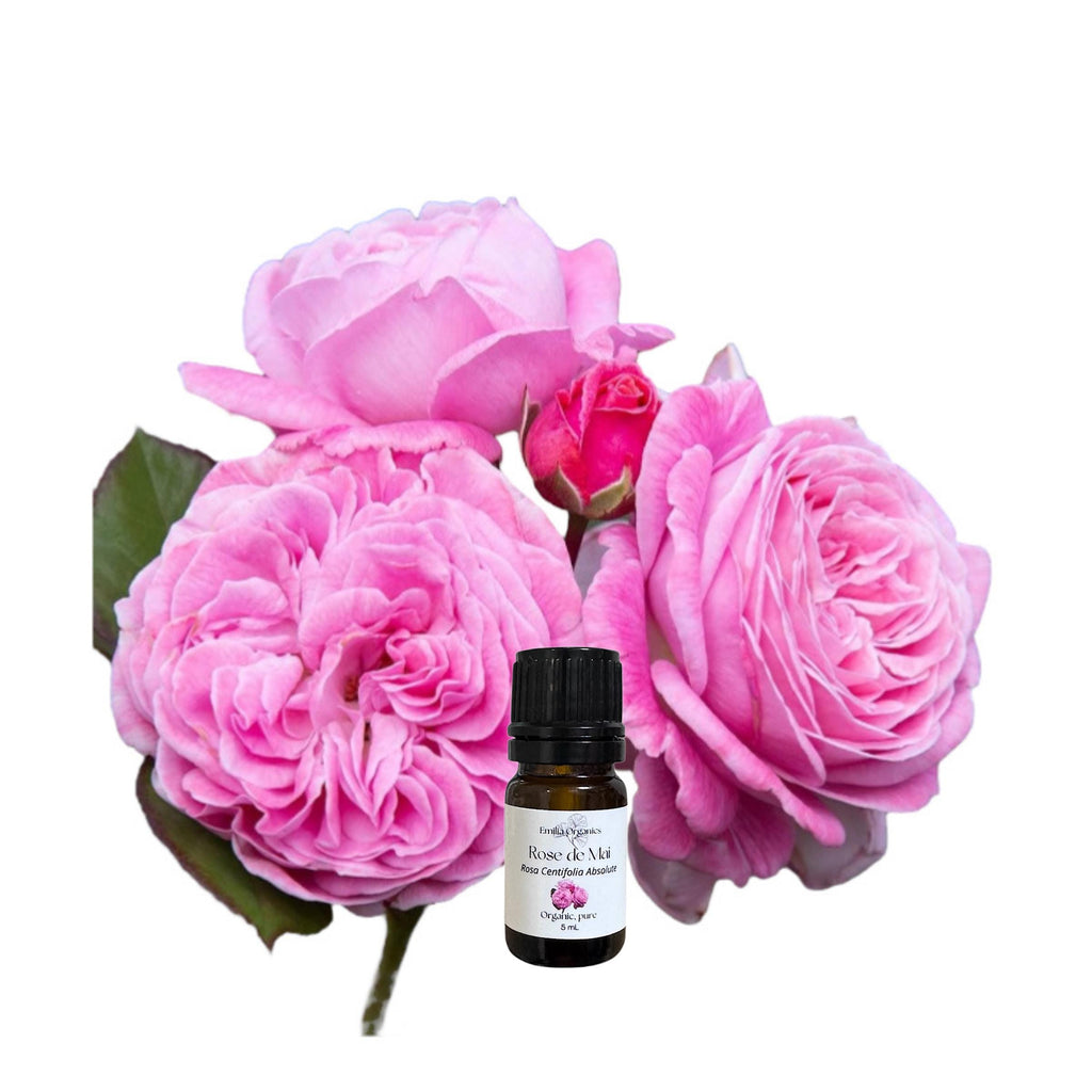 Rose Maroc Absolute Oil, Moroccan Rose Otto, Organic, 100% Pure, Natural