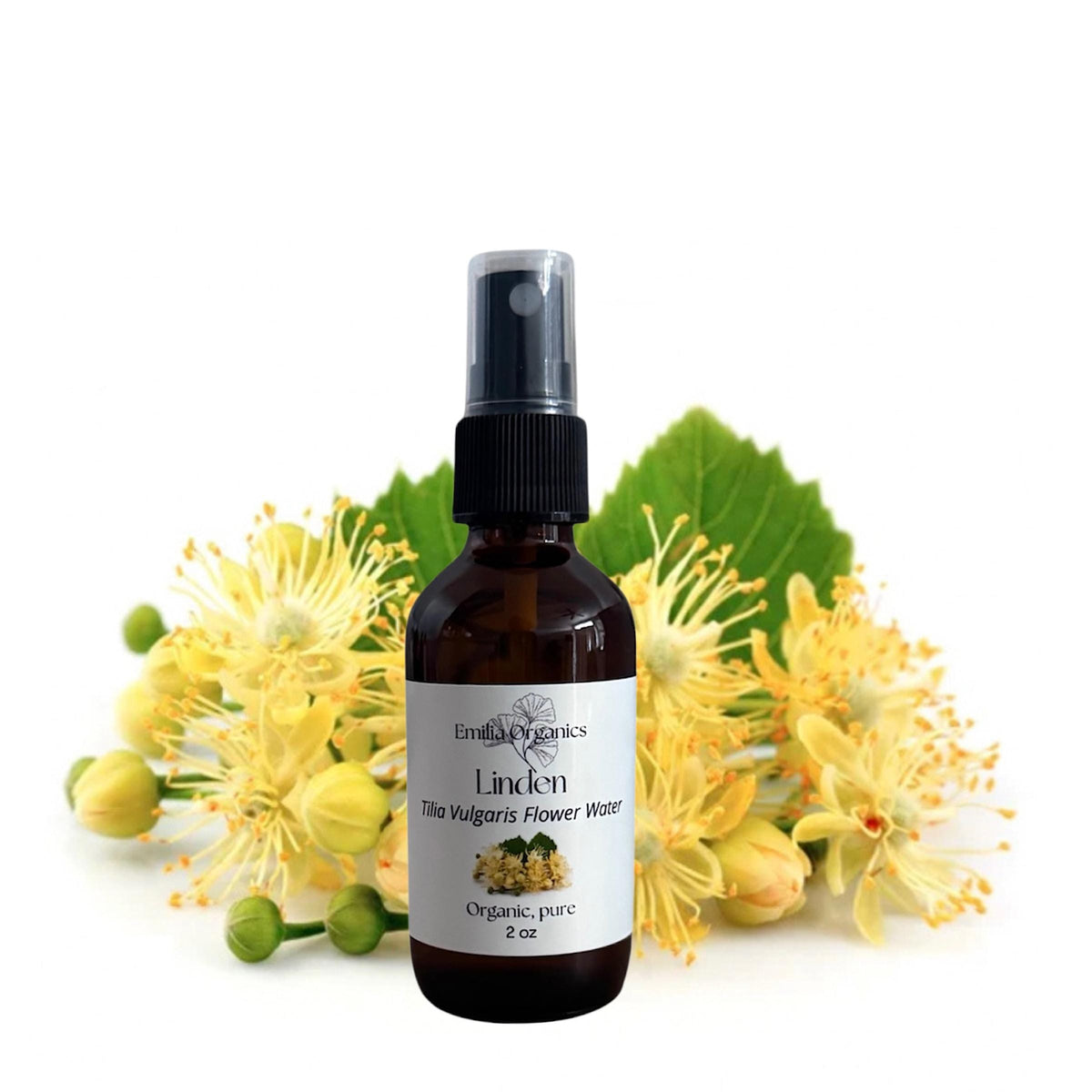 Linden Hydrosol, Organic, Pure, Natural