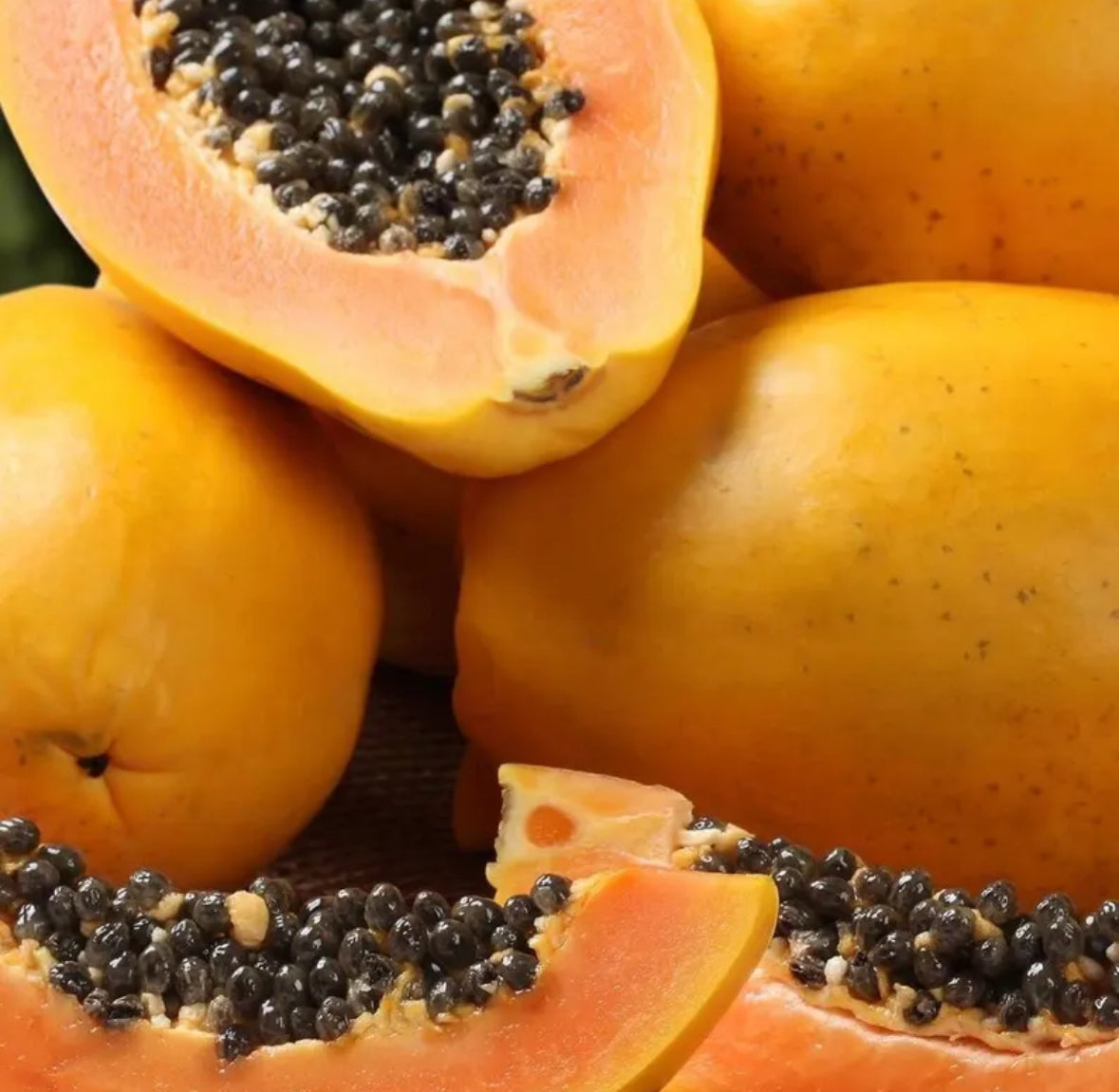 Papaya Seed Oil, Organic, Cold Pressed, Unrefined, Natural