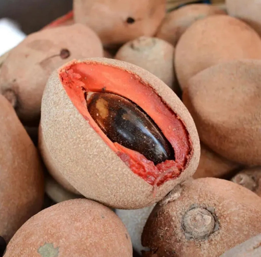 Mamey Sapote Seed Butter, Organic, Cold Pressed, Unrefined, Natural