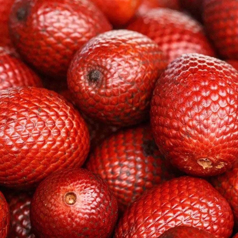 Buriti Fruit Oil, Organic, Cold Pressed, Unrefined, Natural