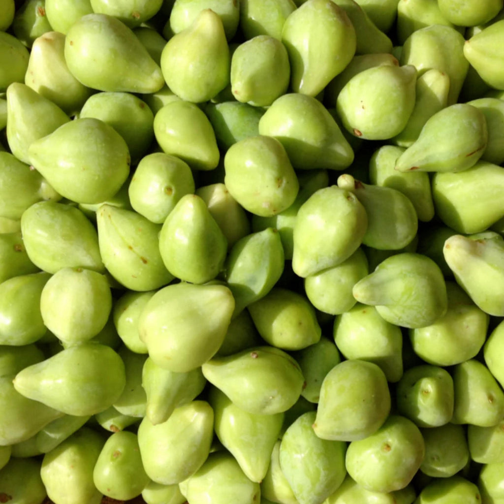 Kakadu Plum Seed Oil, Organic, Cold Pressed, Unrefined, Natural