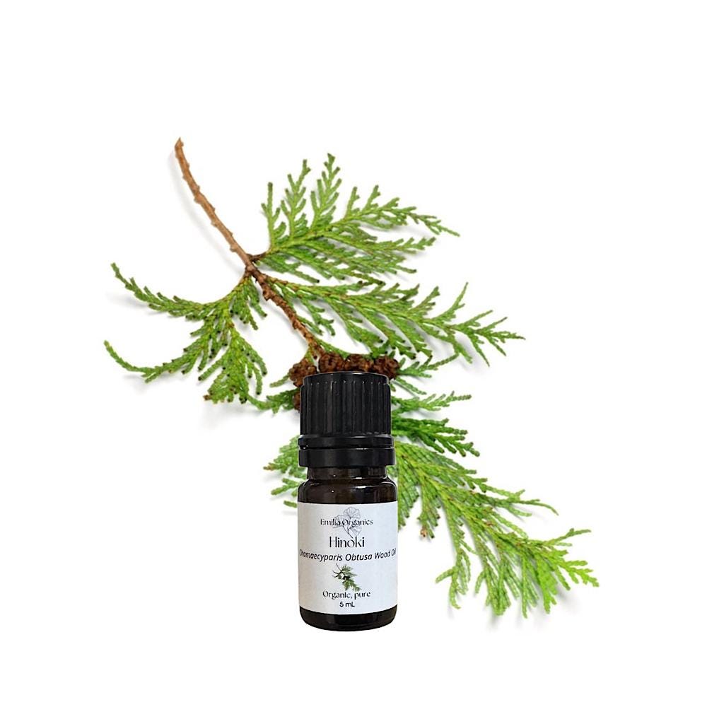 Hinoki Wood Essential Oil, Japanese Cypress, Organic, 100% Pure, Natural