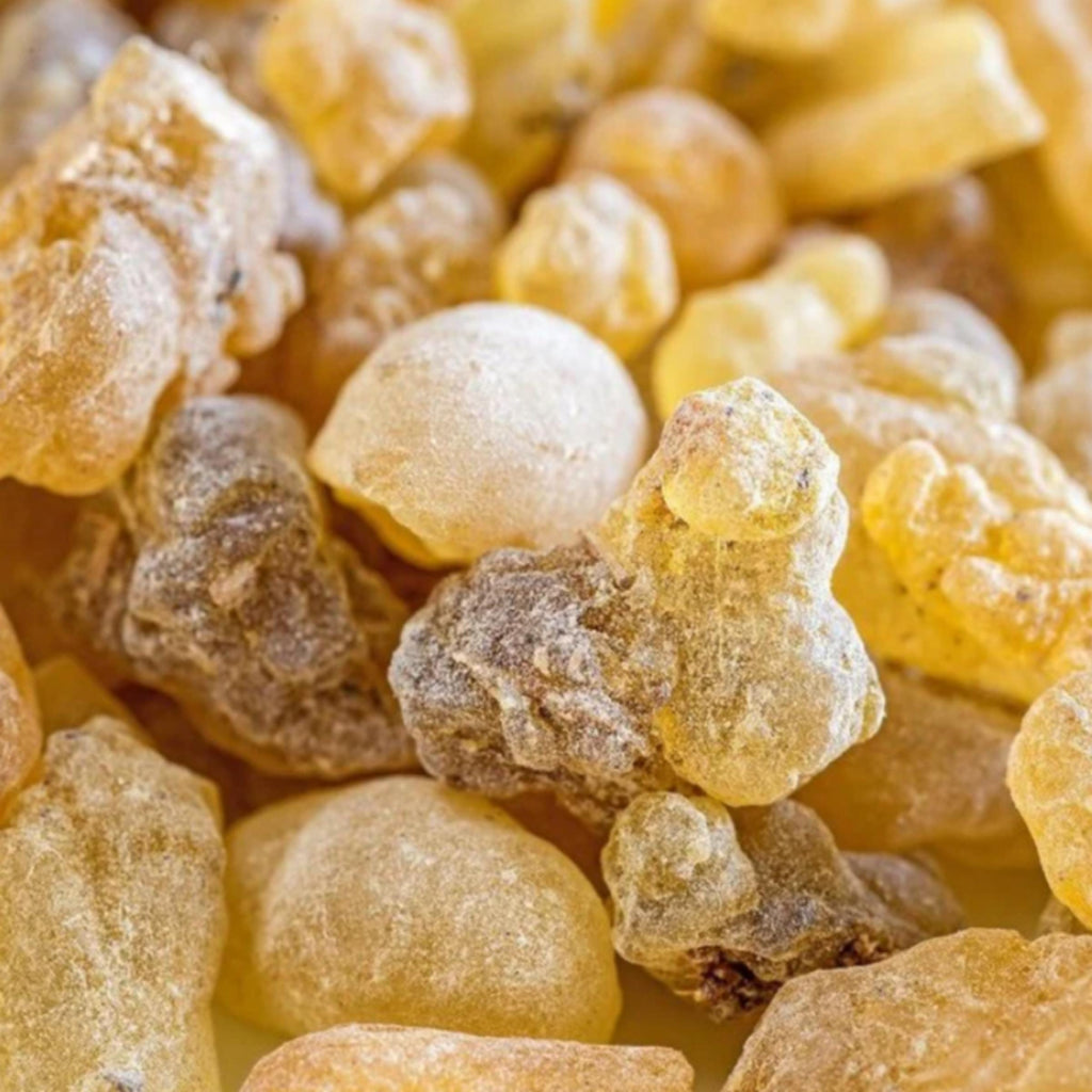 Frankincense Serrata Essential Oil, Organic, 100% Pure, Natural