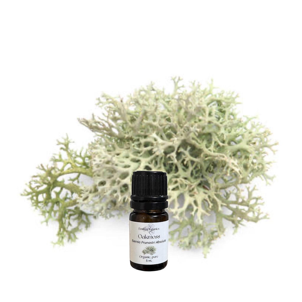 Oakmoss Absolute Oil, Organic, 100% Pure, Natural
