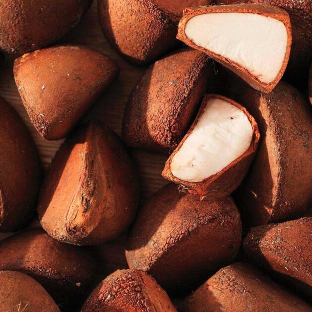 Andiroba Seed Oil, Organic, Cold Pressed, Unrefined, Natural