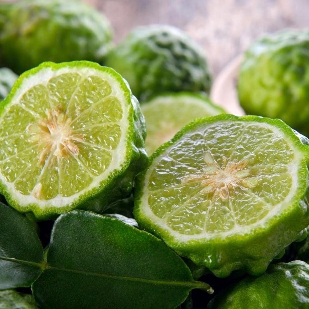 Bergamot Essential Oil, Bergapten Free, Organic, Pure, Natural