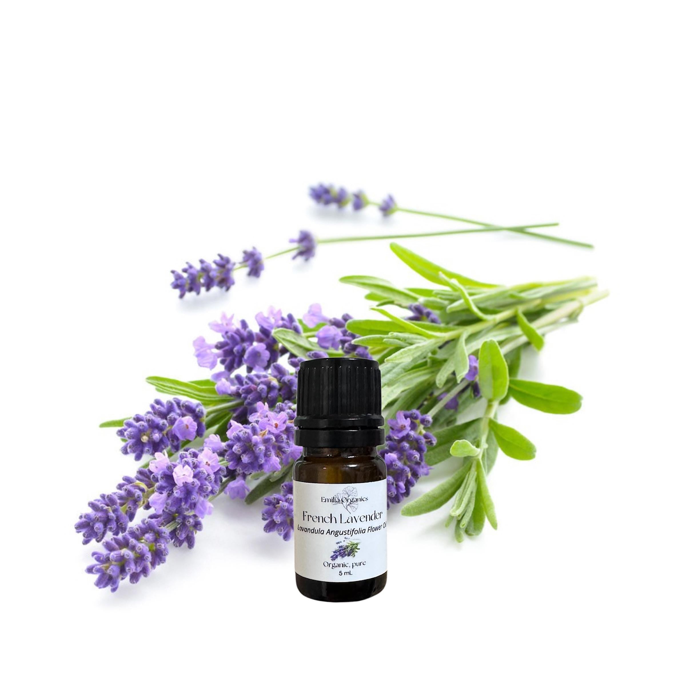 French Lavender Essential Oil, Organic, 100% Pure, Natural