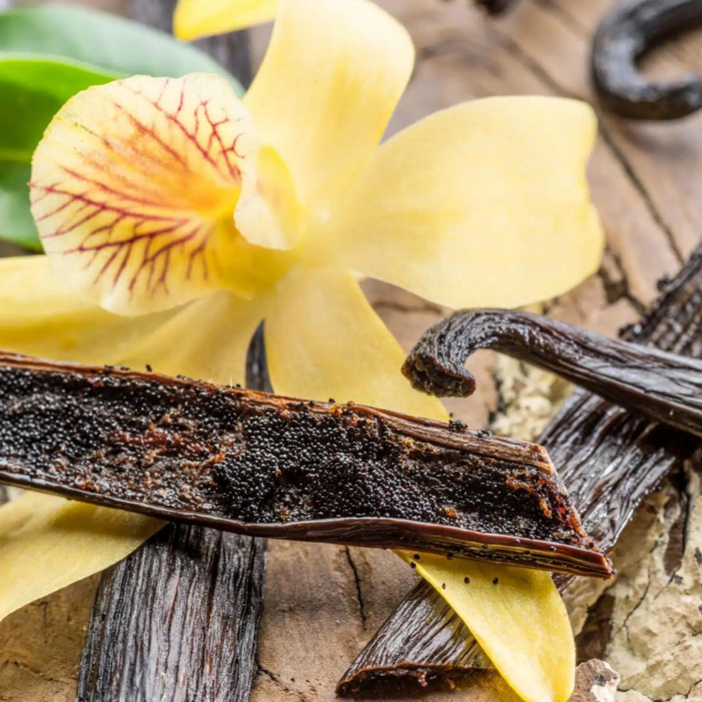 Vanilla Absolute, Organic, 100% Pure, Natural