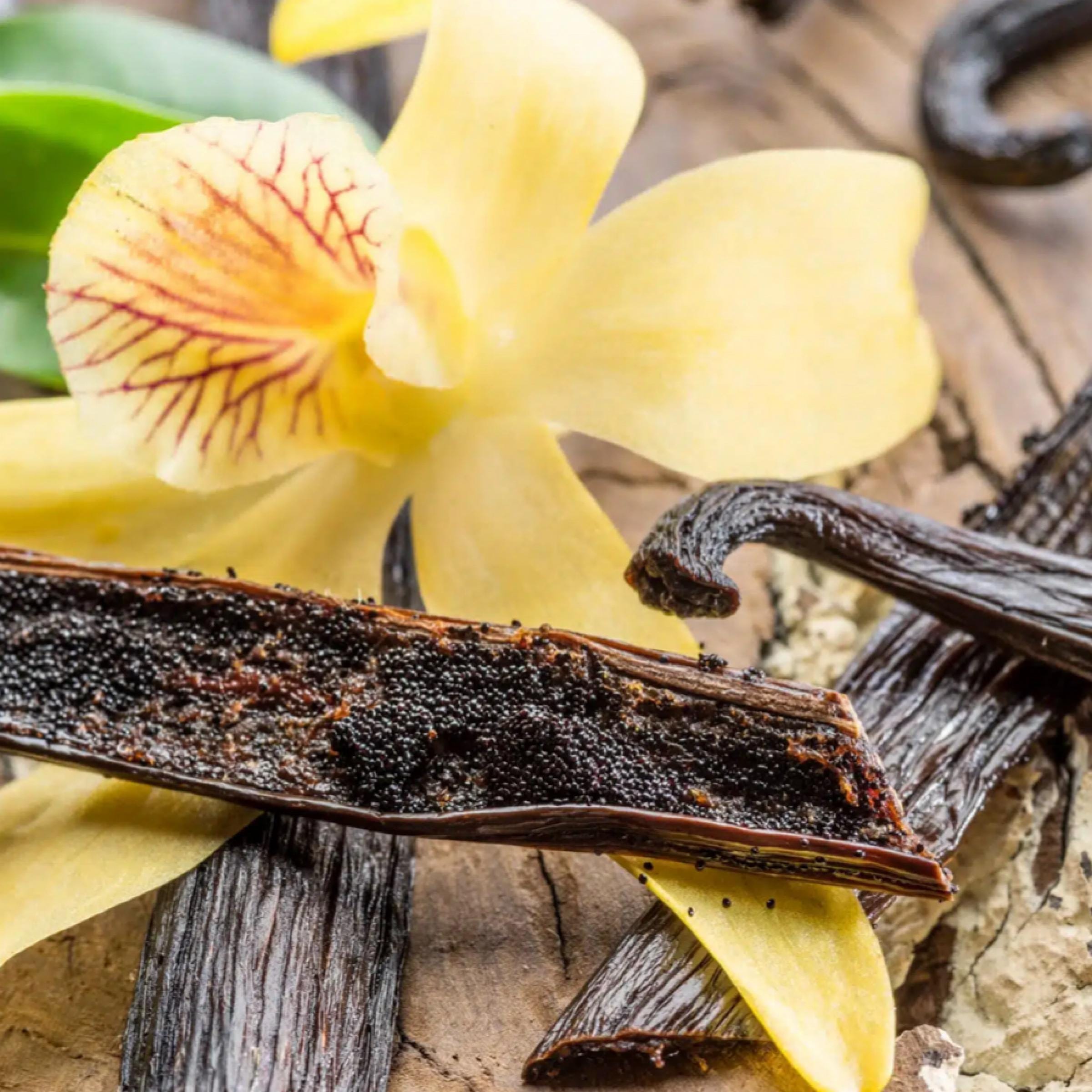 Vanilla Absolute, Organic, 100% Pure, Natural