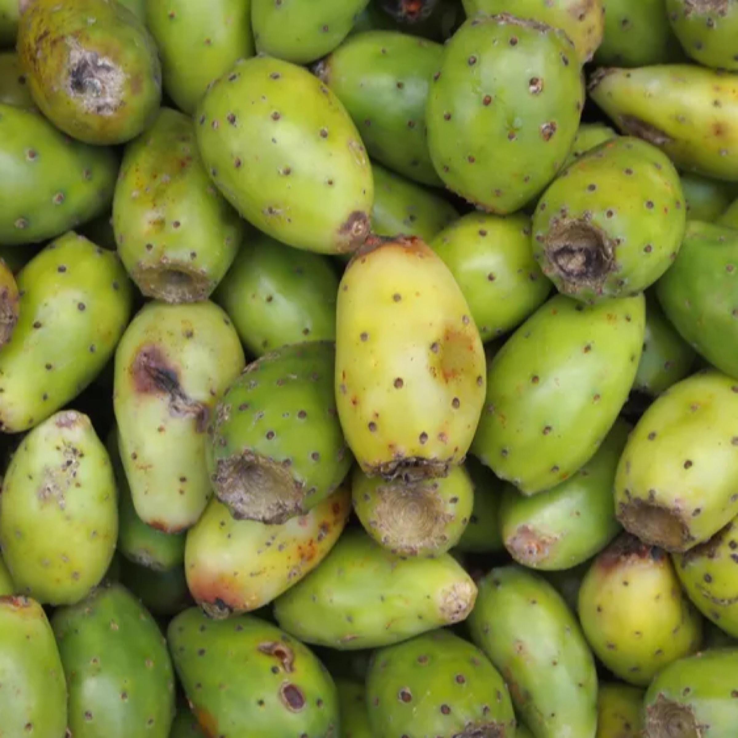 Prickly Pear Seed Oil, Organic, Cold Pressed, Unrefined, Natural