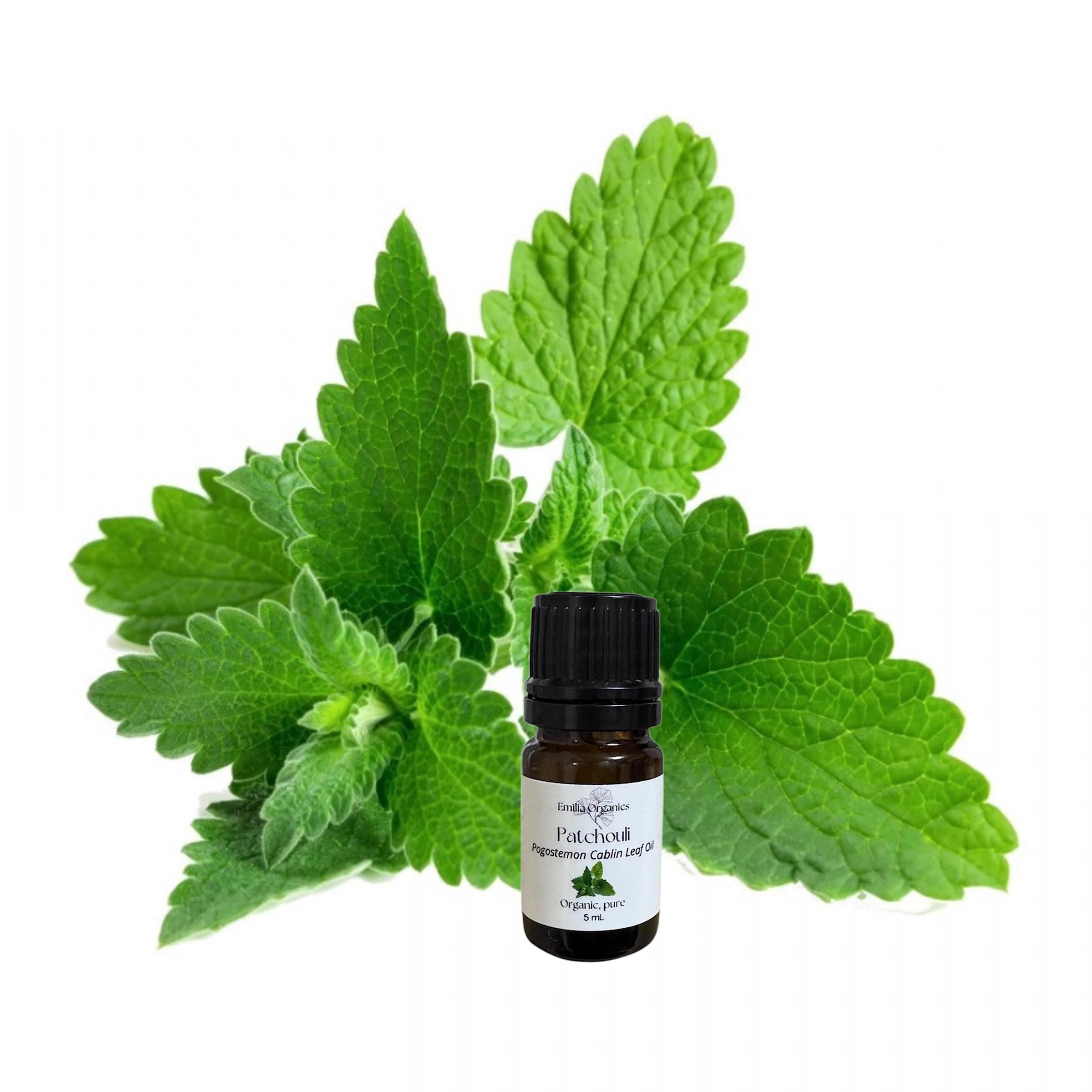 Patchouli Essential Oil, Organic, 100% Pure, Natural