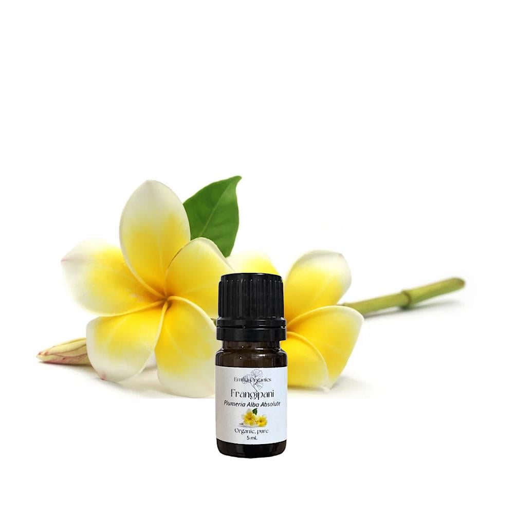 Frangipani Absolute, Organic, 100% Pure, Natural