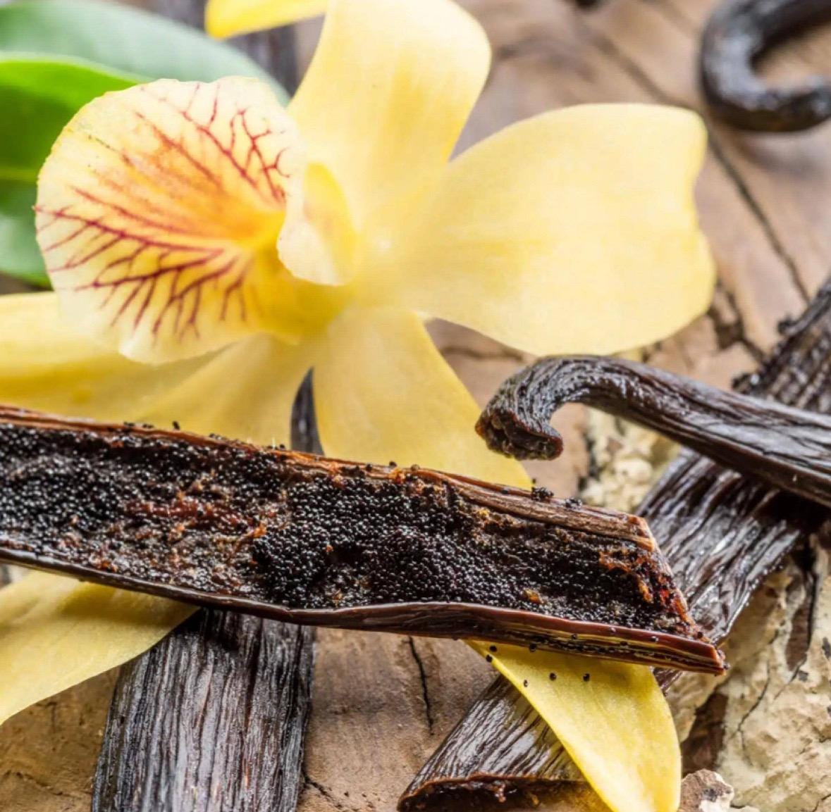 Vanilla Infused Oil, Organic, Cold Pressed, Unrefined, Natural