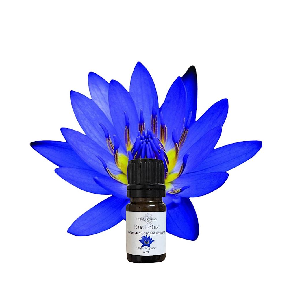 Blue Lotus Absolute Oil, Organic, Pure, Natural