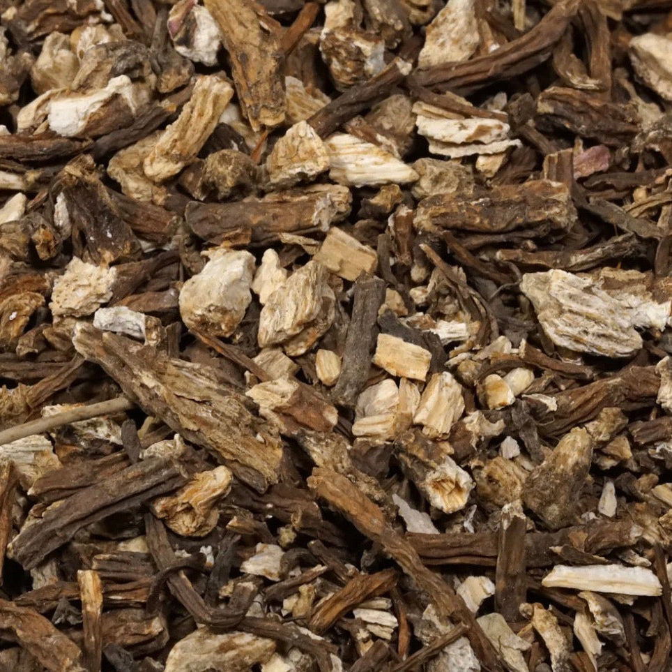 Angelica Root Essential Oil, Organic, 100% Pure, Natural