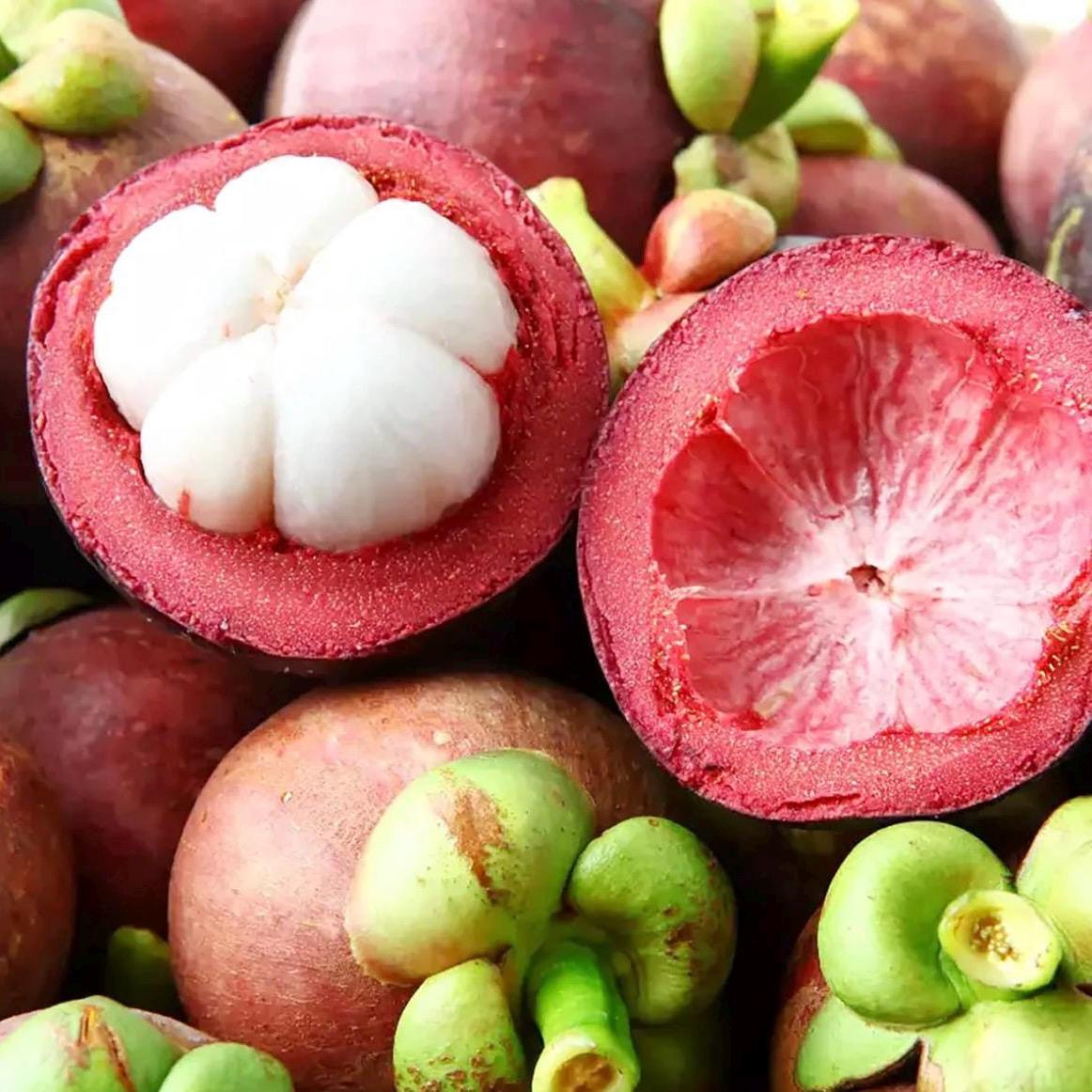 Mangosteen Seed Oil, Organic, Cold Pressed, Unrefined, Natural