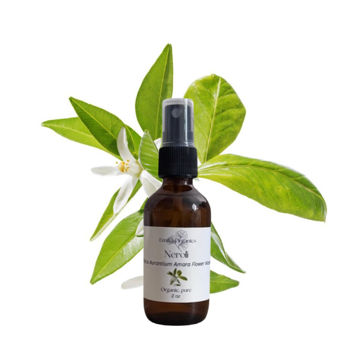 Neroli Hydrosol, Orange Blossom, Organic, Pure, Natural