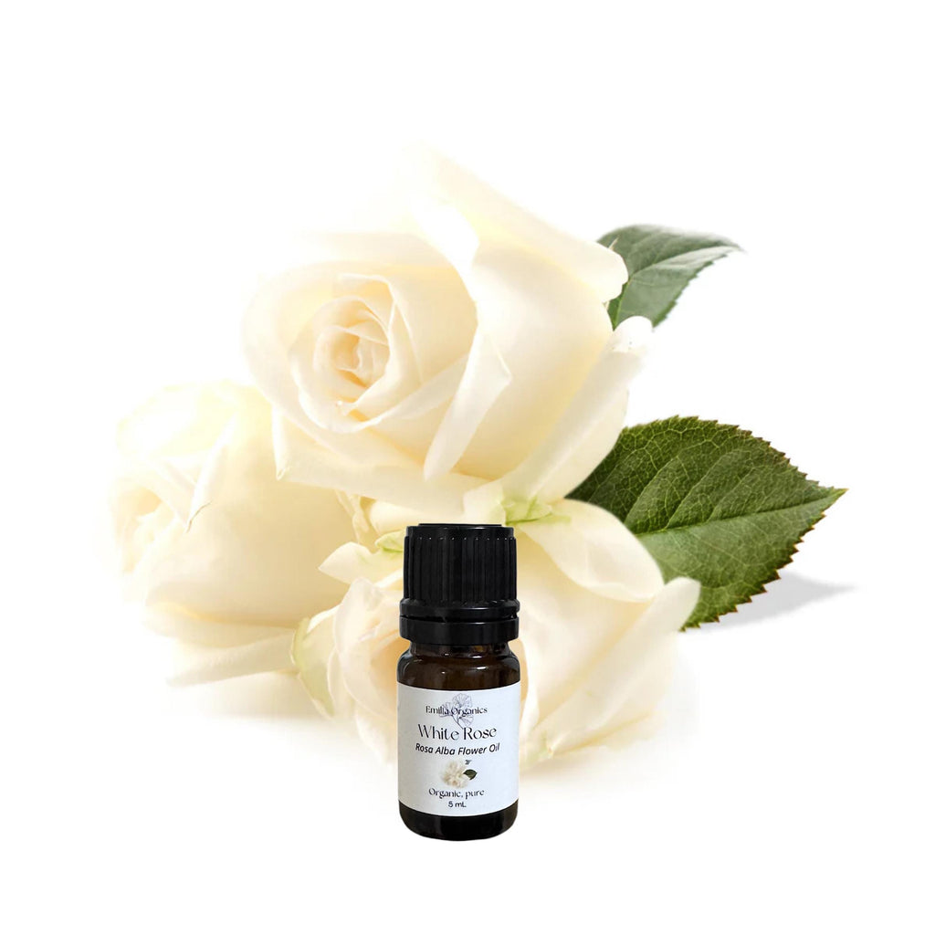 White Rose Otto Essential Oil, Organic, 100% Pure, Natural