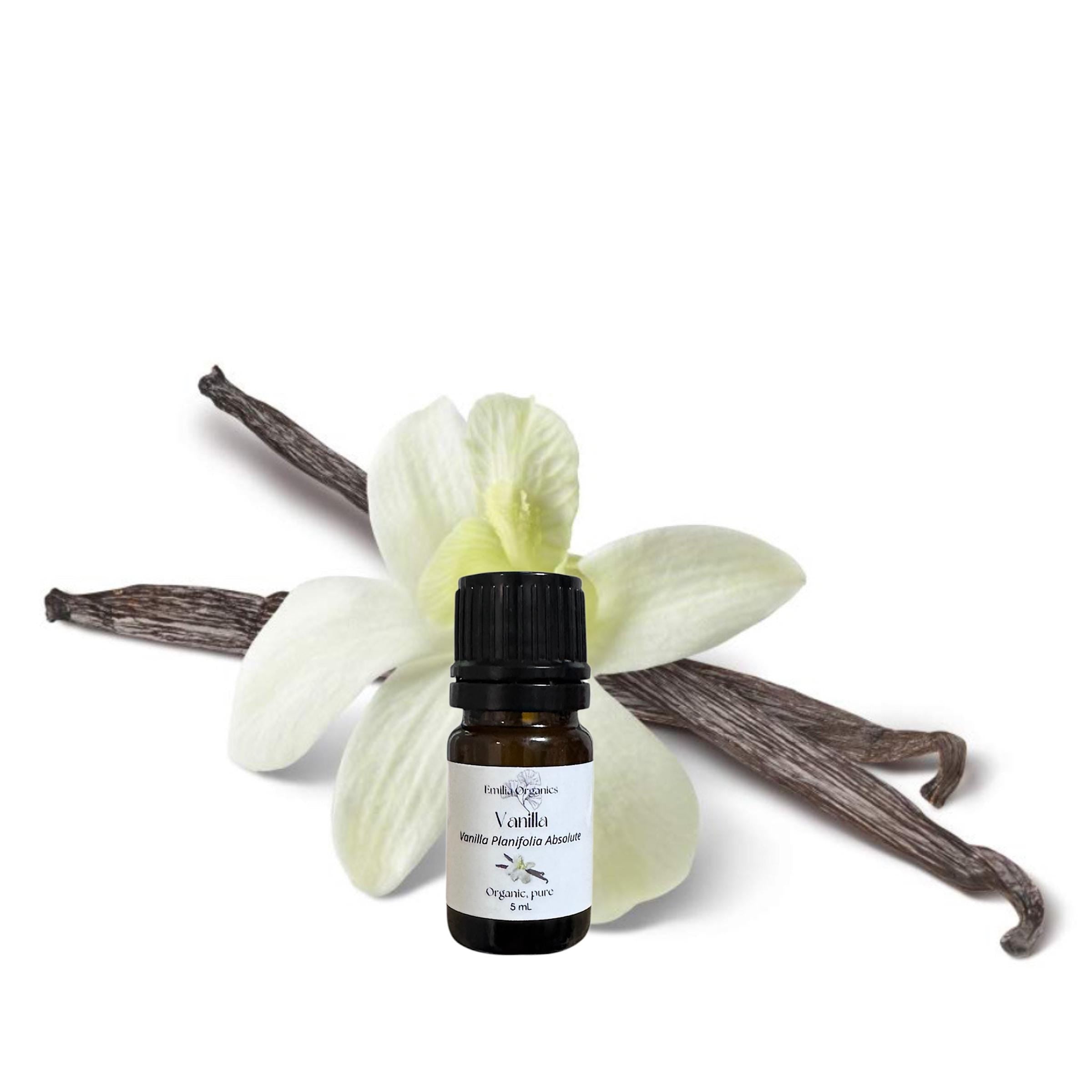 Vanilla Absolute, Organic, 100% Pure, Natural