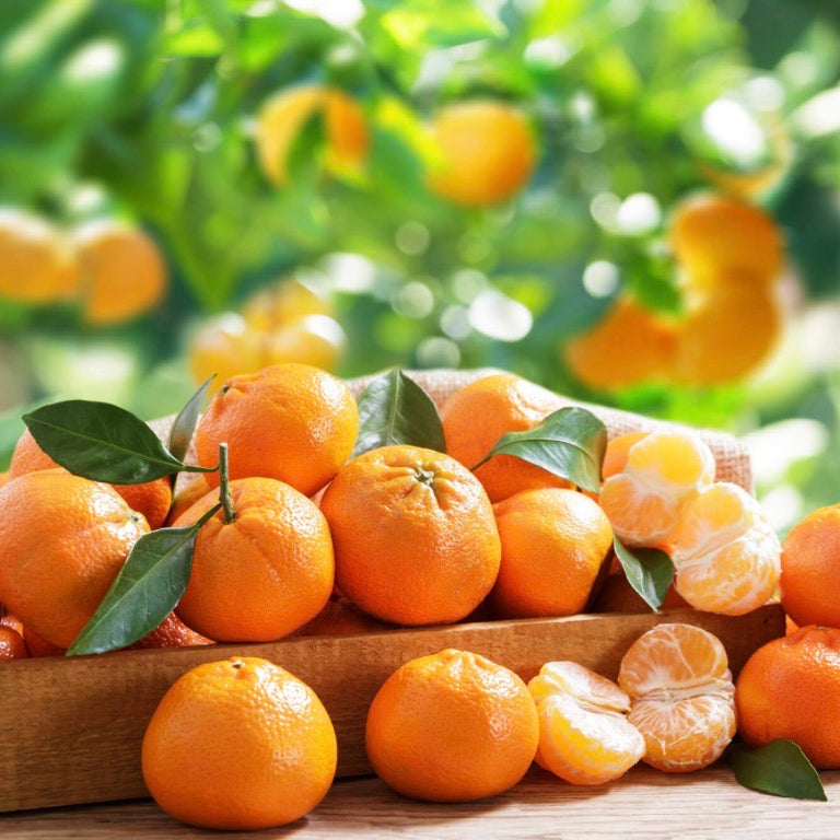 Tangerine Essential Oil, Organic, 100% Pure, Natural
