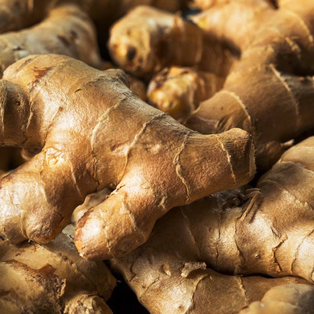 Ginger Essential Oil, Organic, 100% Pure, Natural