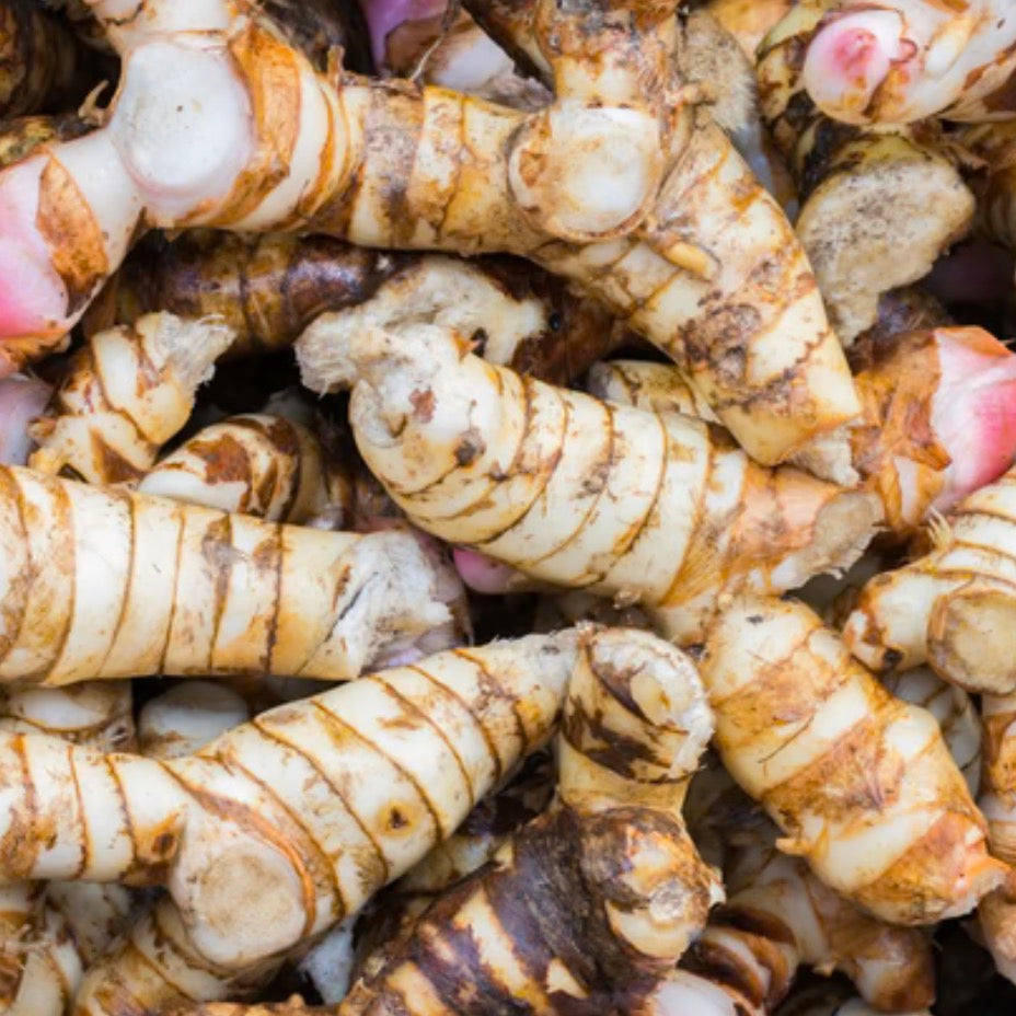 Galangal Essential Oil, Organic, 100% Pure, Natural