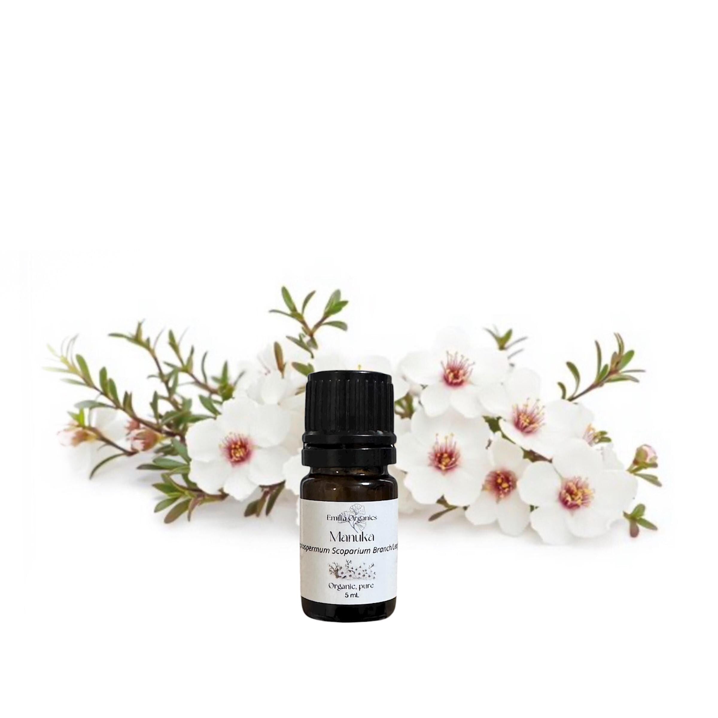 Manuka Essential Oil, Organic, 100% Pure, Natural
