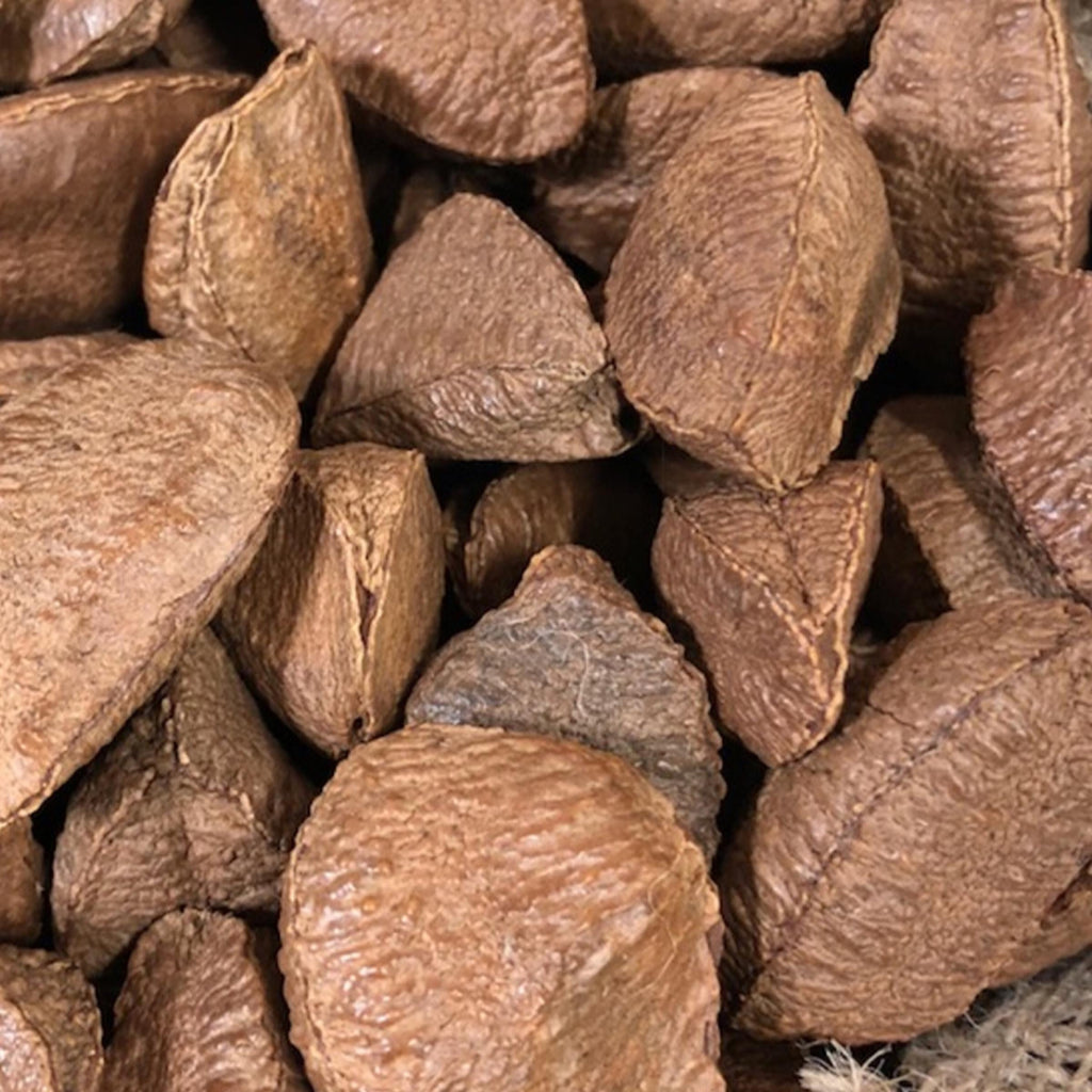 Brazil Nut Oil, Organic, Cold Pressed, Unrefined, Natural
