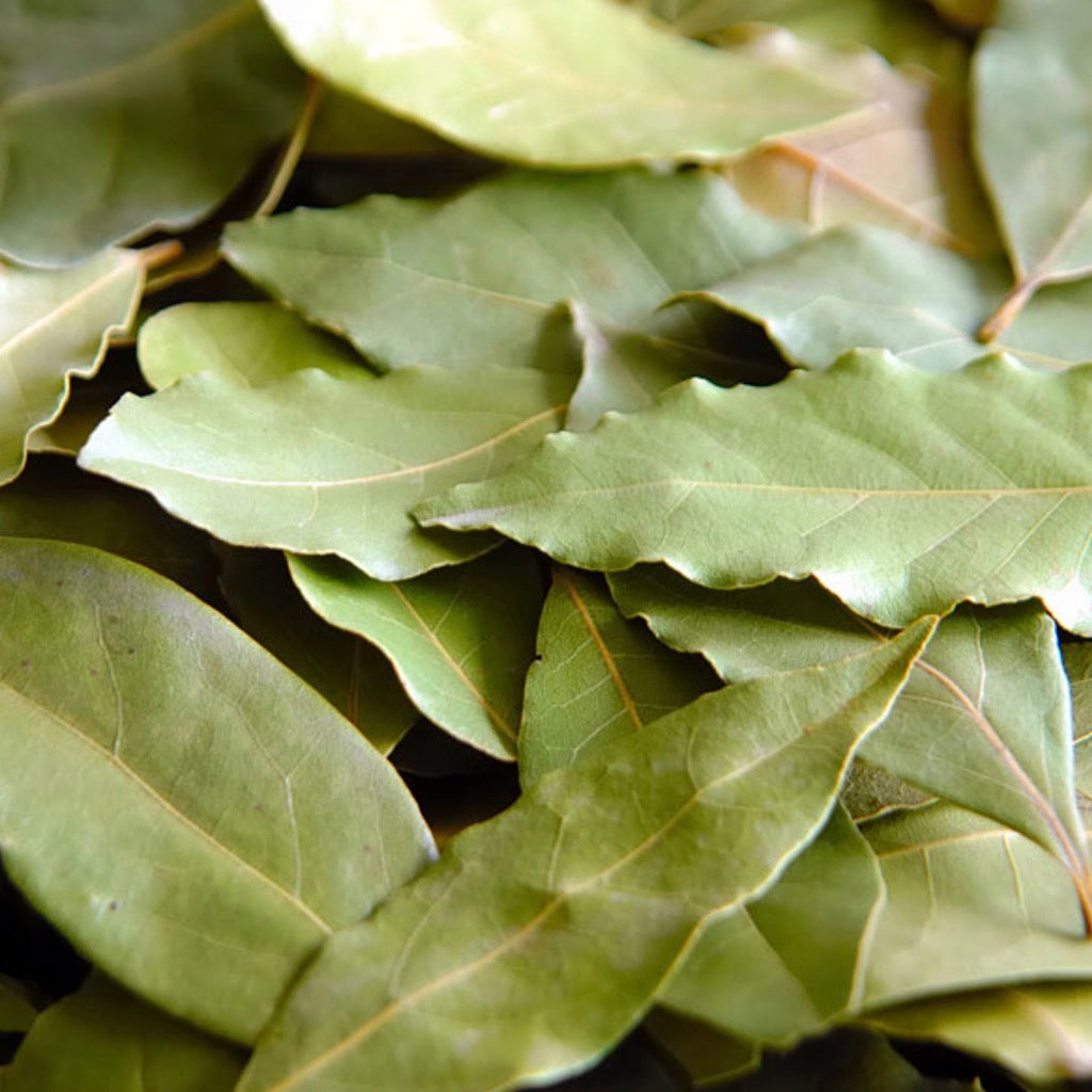 Bay Leaf Essential Oil, Organic, 100% Pure, Natural