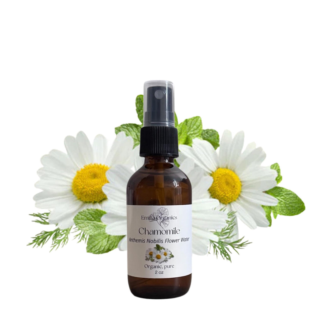 Roman Chamomile Hydrosol, Organic, Pure, Natural