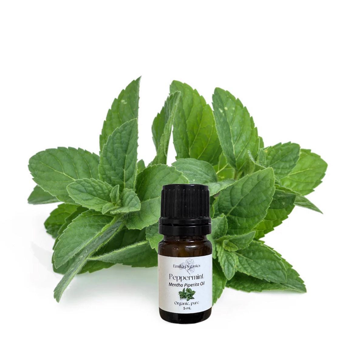 Peppermint Essential Oil, Organic, 100% Pure, Natural