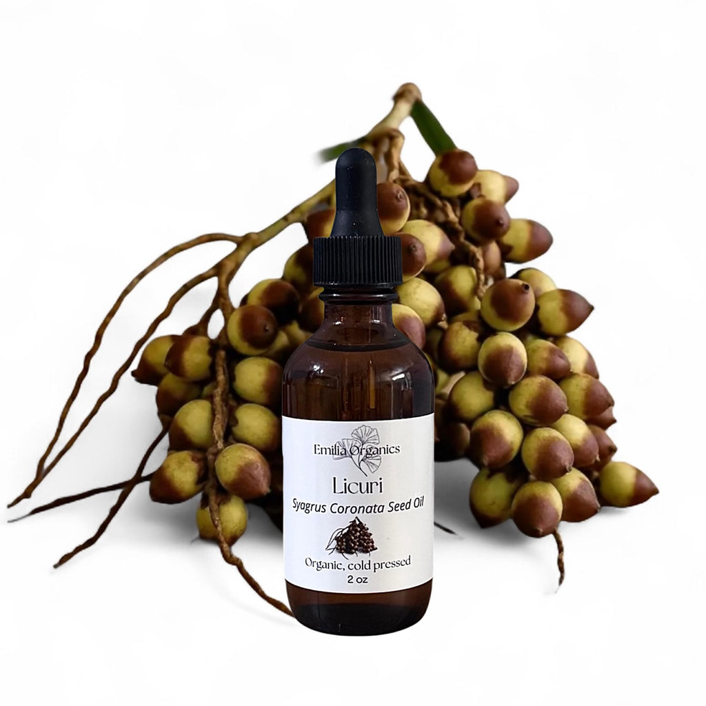Licuri Seed Oil, Organic, Cold Pressed, Unrefined, Natural