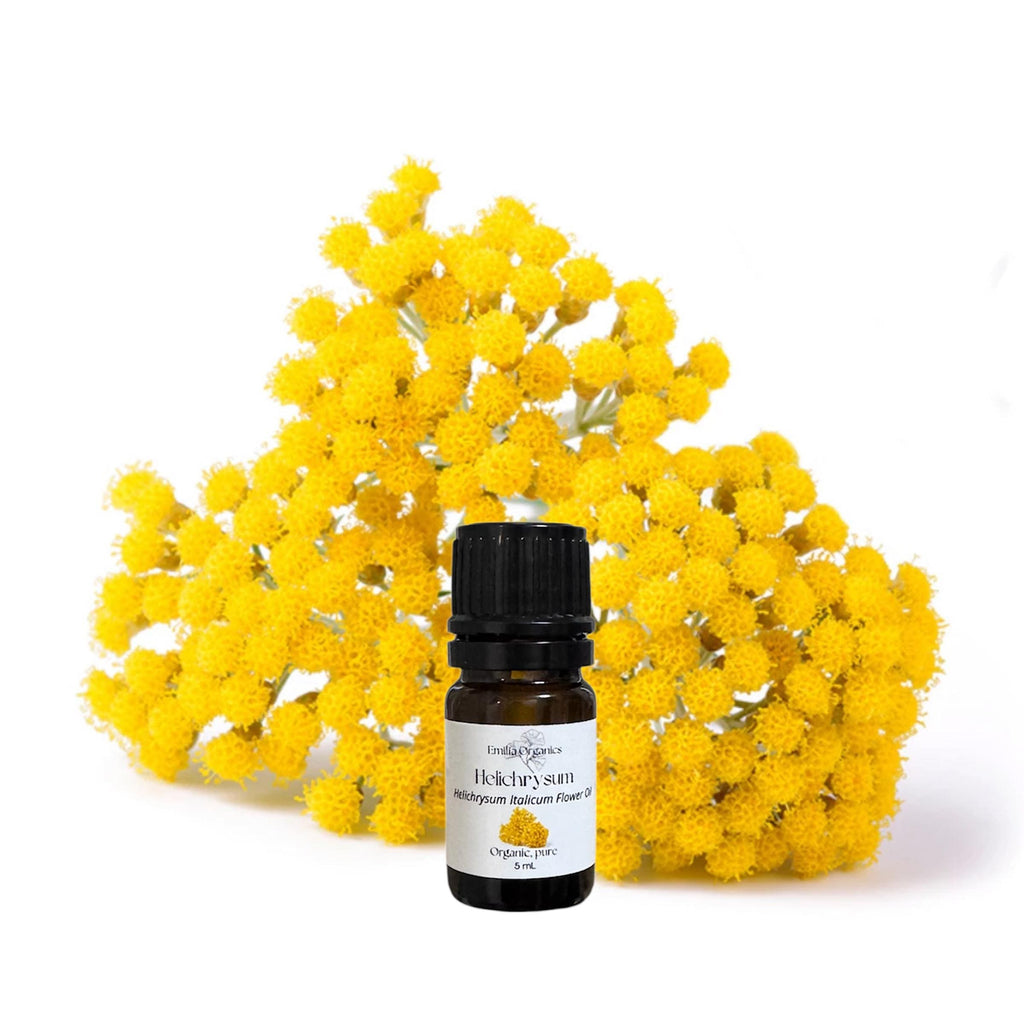 Helichrysum Essential Oil, Immortelle, Organic, 100% Pure, Natural