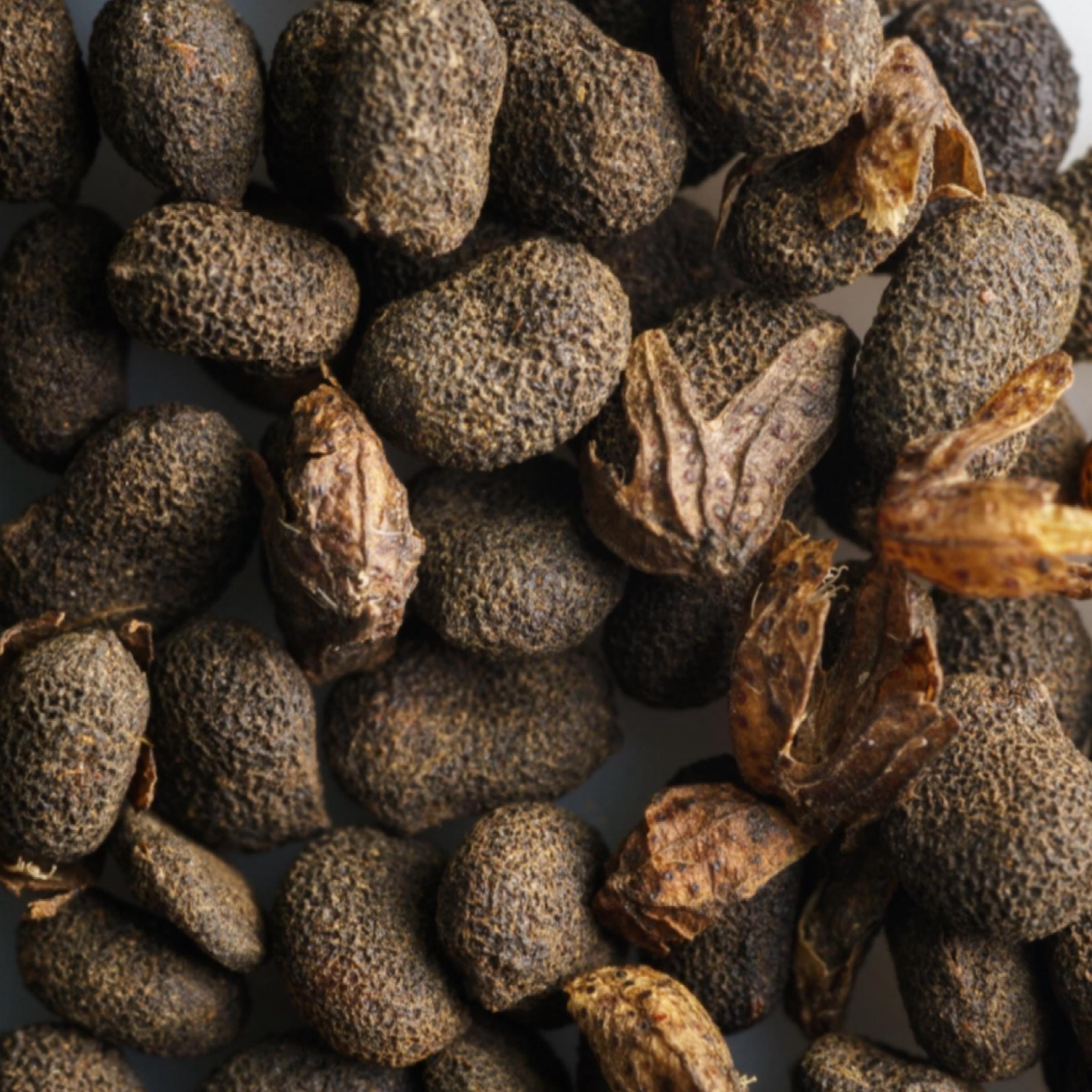 Bakuchi Seed Oil, Organic, Cold Pressed, Unrefined, Natural Retinol Alternative