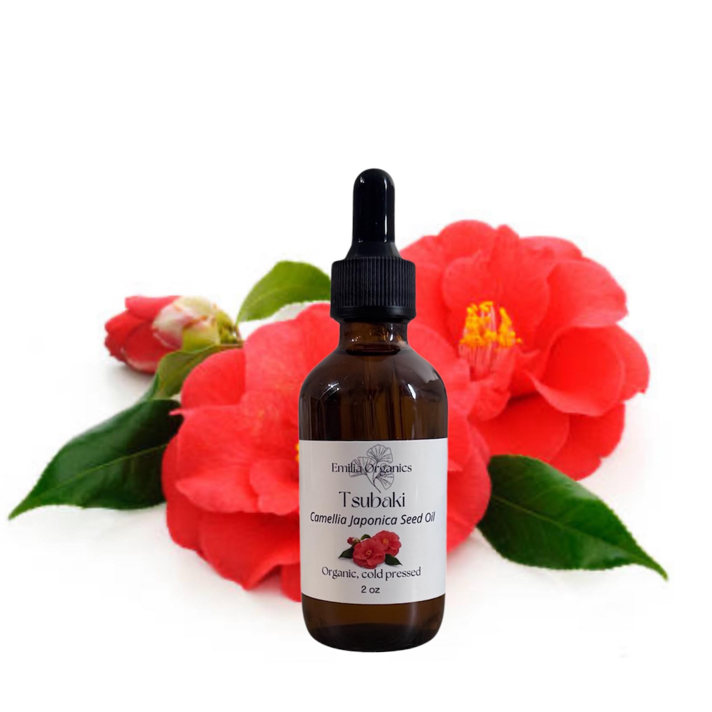 Tsubaki Oil, Organic, Cold Pressed, Unrefined, Natural