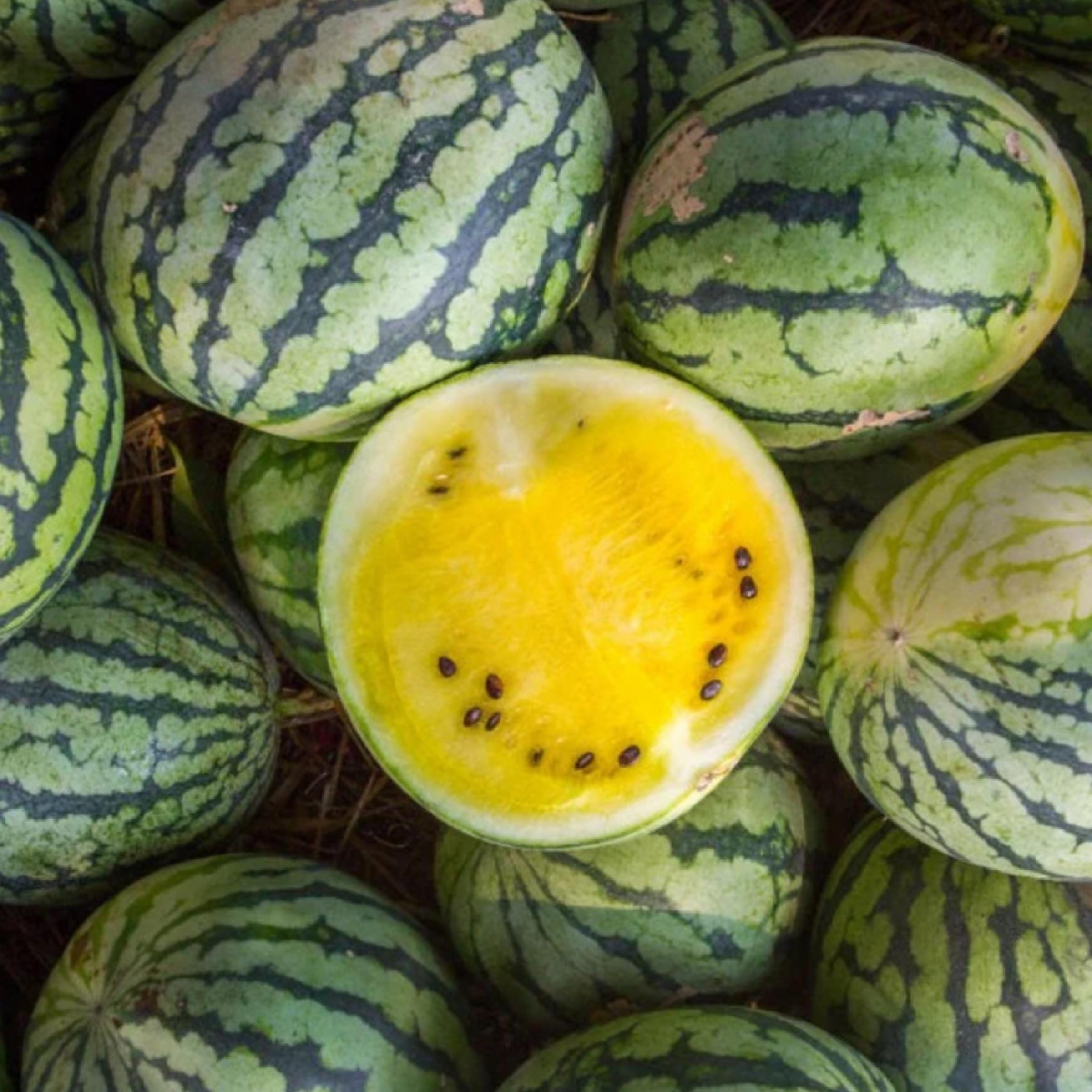 Kalahari Melon Seed Oil, Organic, Cold Pressed, Unrefined, Natural