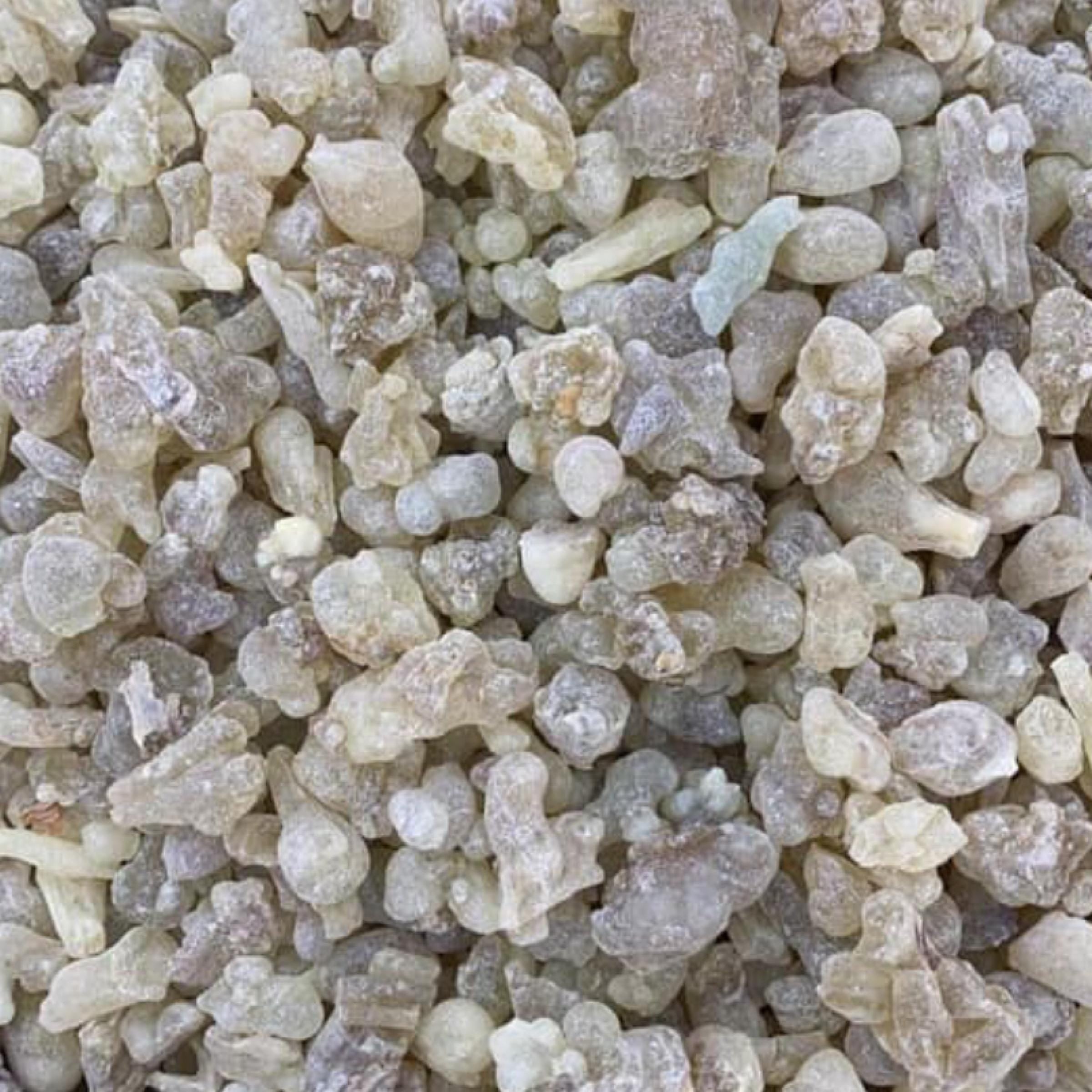 Frankincense Serrata Essential Oil, Organic, 100% Pure, Natural
