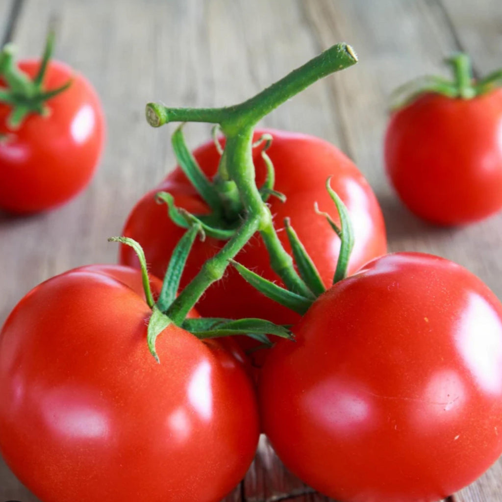 Tomato Seed Oil, Organic, Cold Pressed, Unrefined, Natural