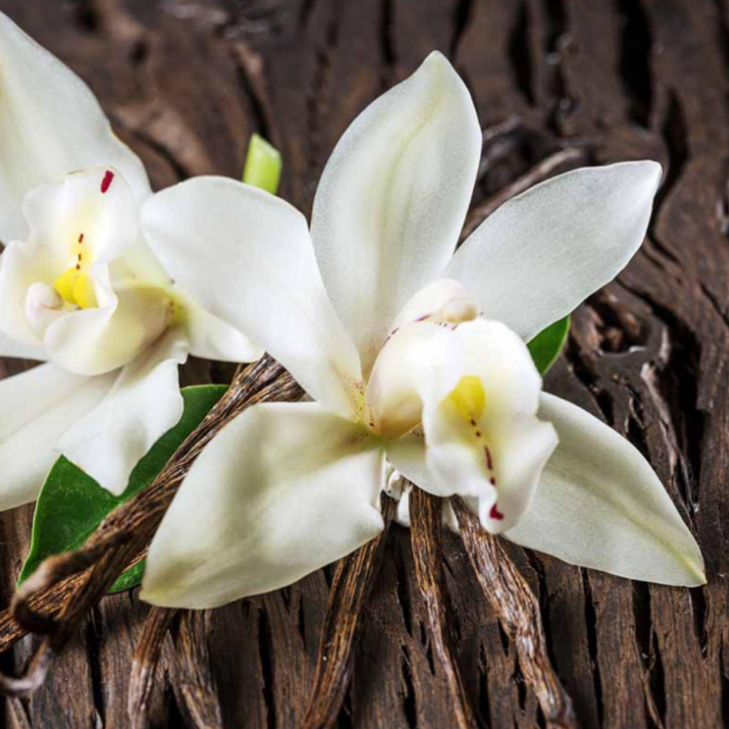 Vanilla Absolute, Organic, 100% Pure, Natural