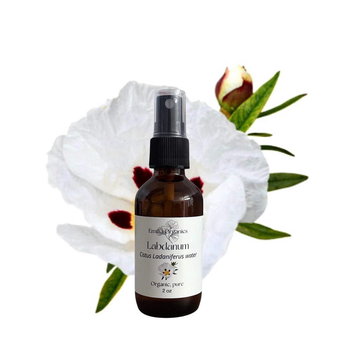 Labdanum Hydrosol, Organic, Pure, Natural