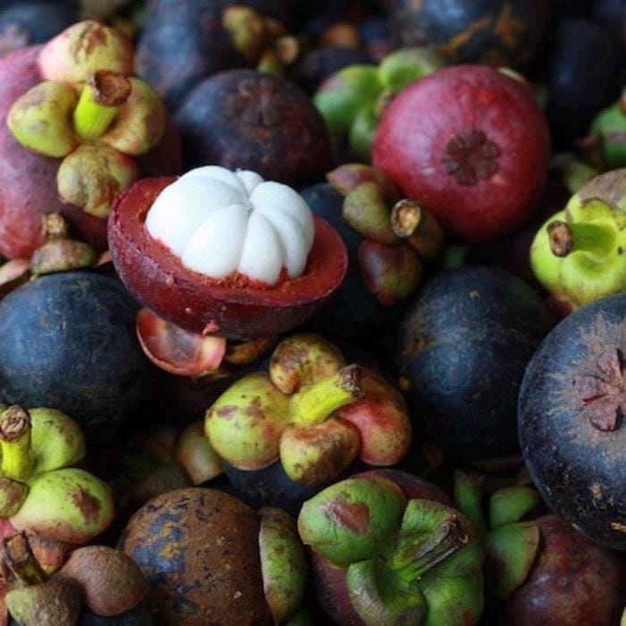 Mangosteen Seed Oil, Organic, Cold Pressed, Unrefined, Natural