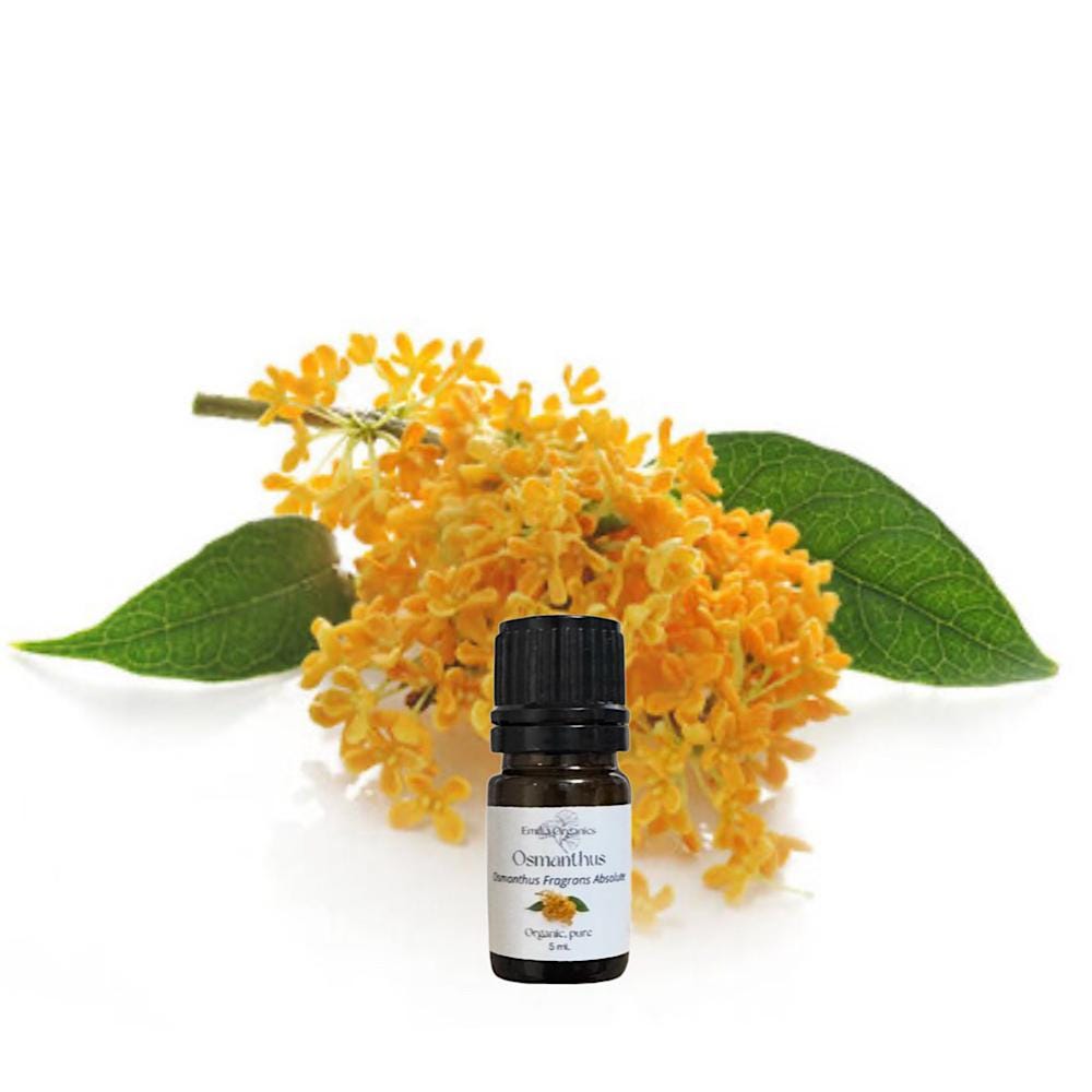 Osmanthus Absolute Oil, Organic, 100% Pure, Natural