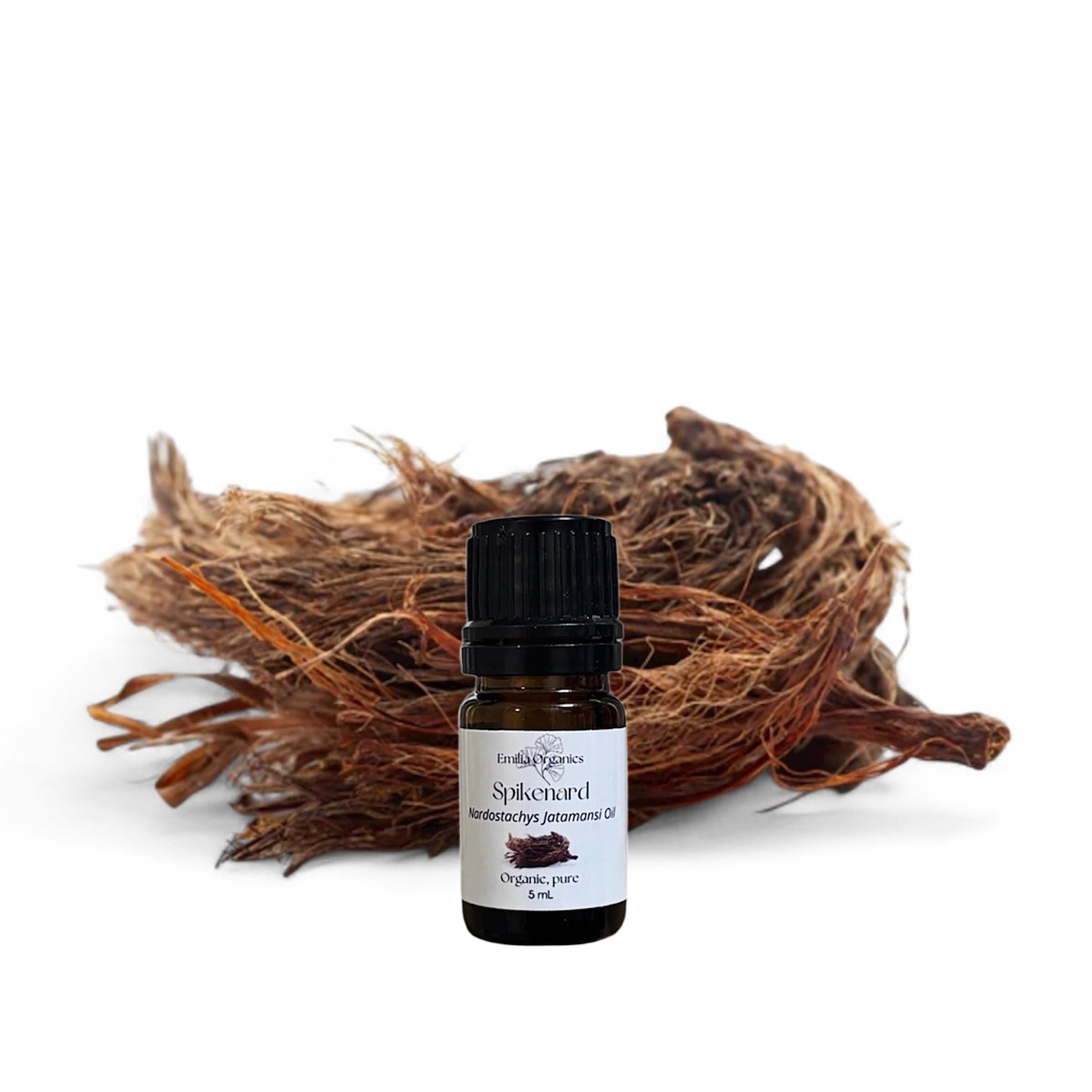 Spikenard Essential Oil, Jatamansi, Organic, 100% Pure, Natural