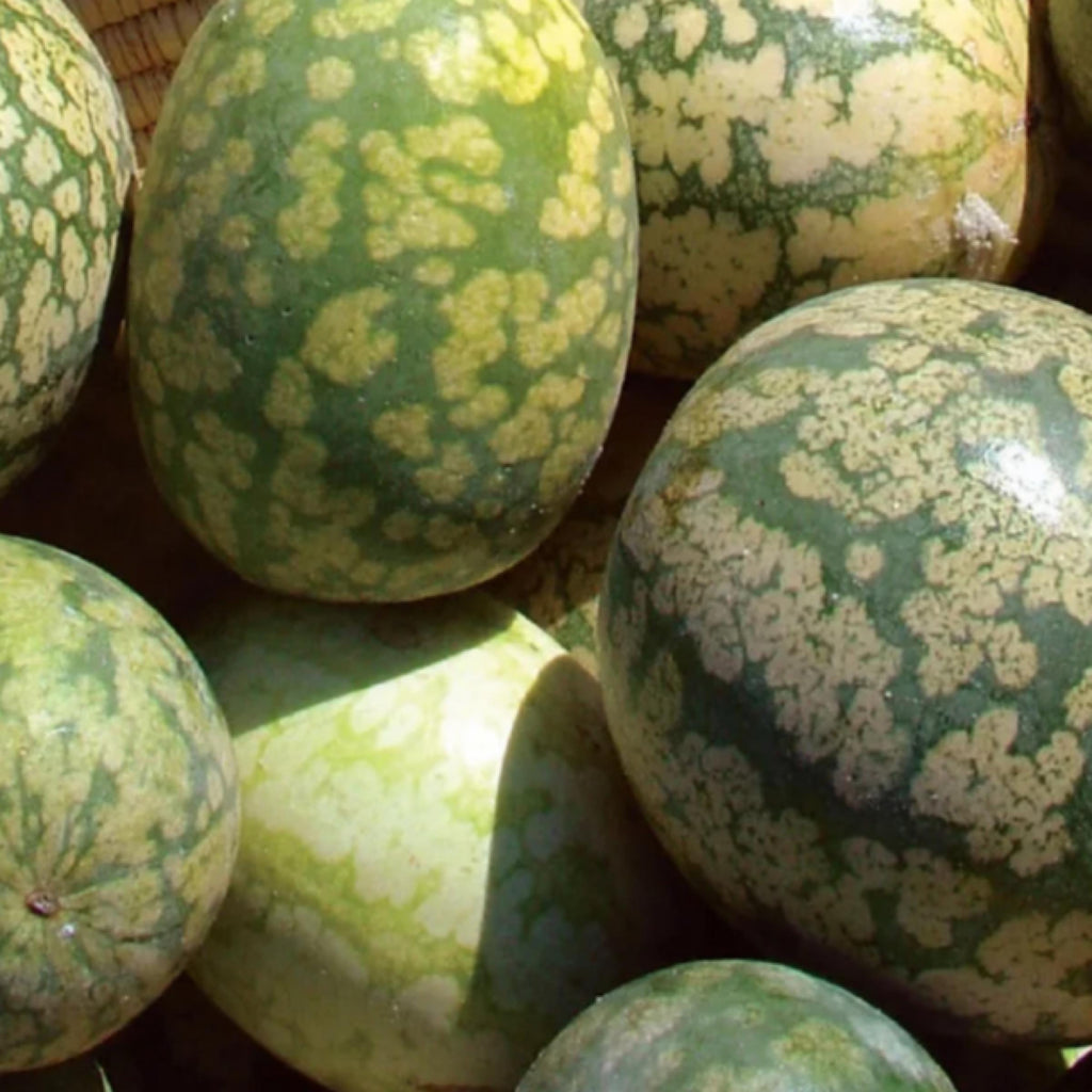 Kalahari Melon Seed Oil, Organic, Cold Pressed, Unrefined, Natural