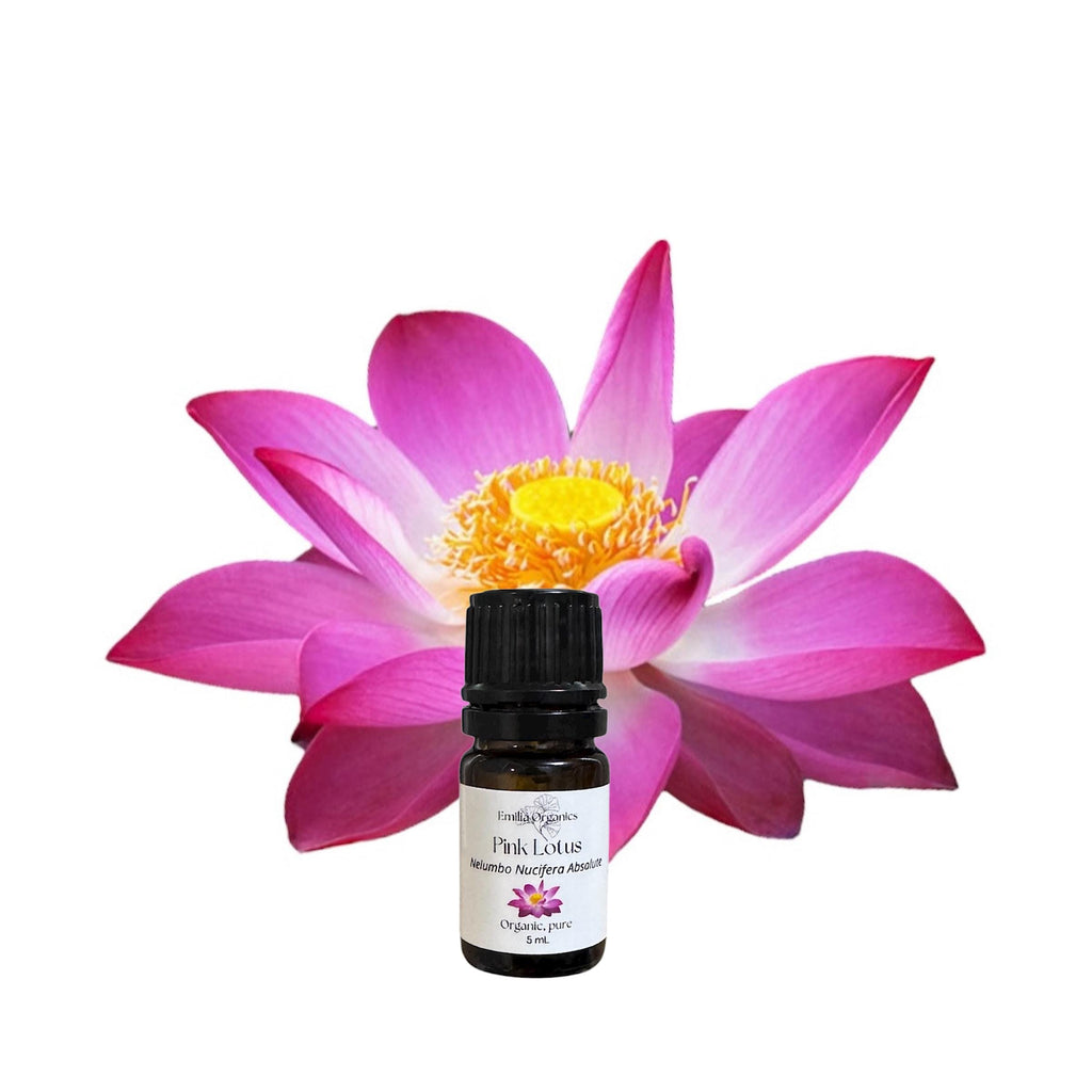 Pink Lotus Absolute Oil, Organic, 100% Pure, Natural