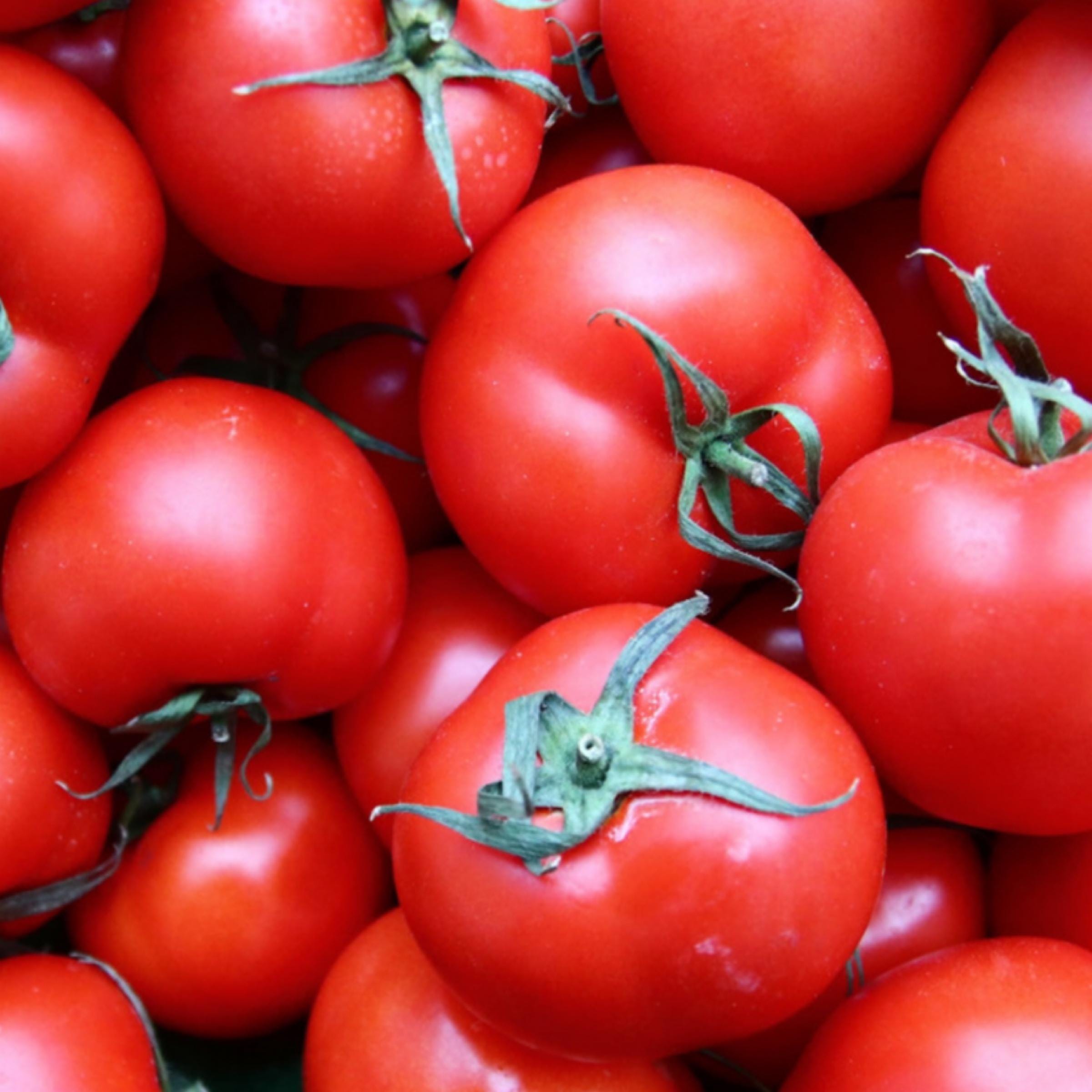 Tomato Seed Oil, Organic, Cold Pressed, Unrefined, Natural