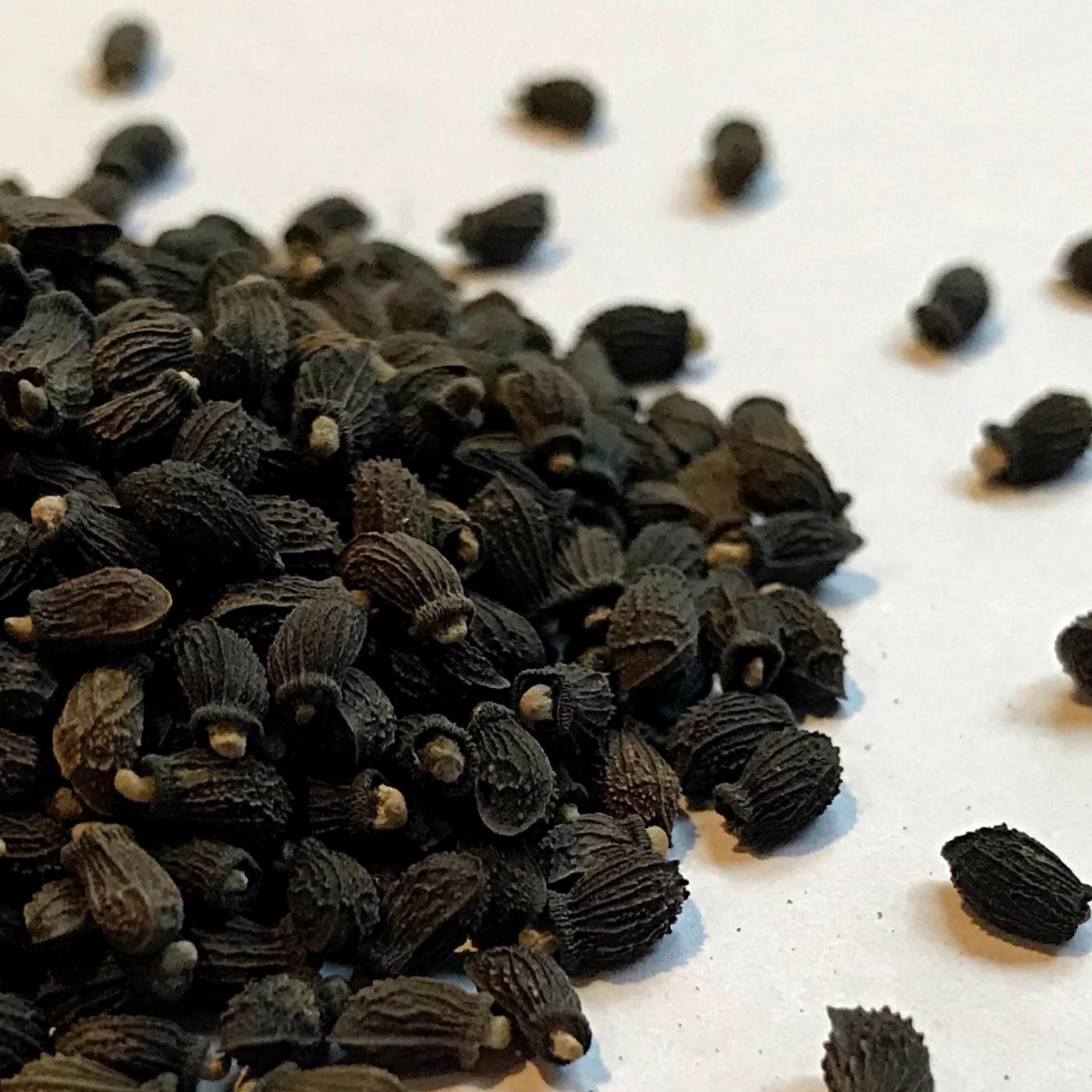 Borage Seed Oil, Organic, Cold Pressed, Unrefined, Natural
