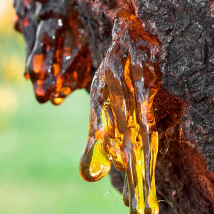 Amber Essential Oil, Organic, 100% Pure, Natural